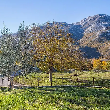 Nyaraló In *