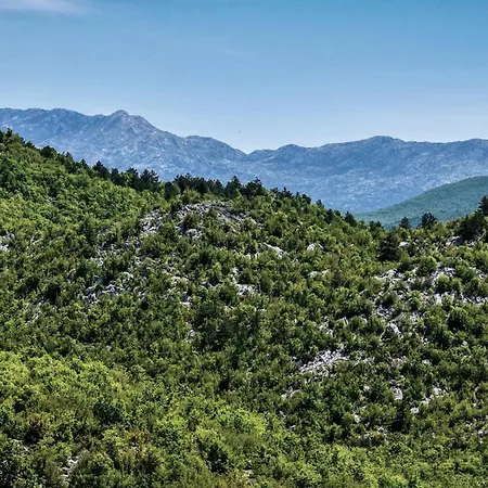 In Nyaraló Dugopolje